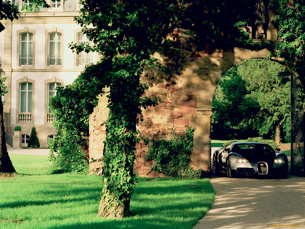 bugatti, veyron, 2005, 